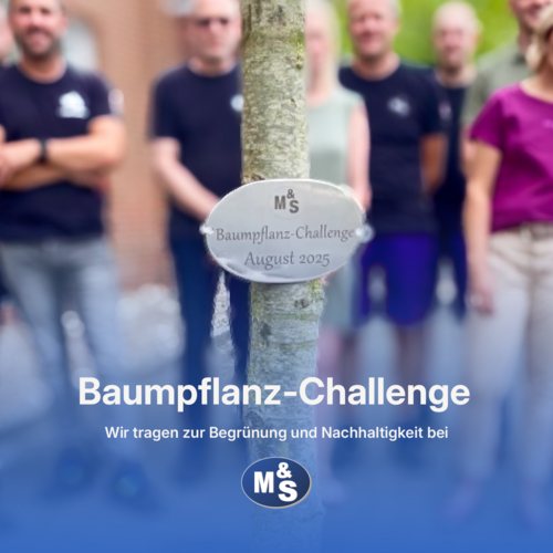 Neu gepflanzter Baum mit Baumplakette. Text auf der Baumplakette: „Baumpflanz-Challenge August 2025”. Im Hintergrund stehen Mitarbeitende.