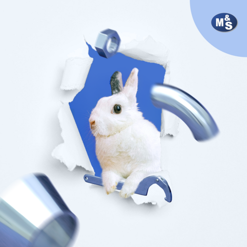 Frohe Ostern Fotokollage eines Hasens, der Werkzeug in der Hand hält